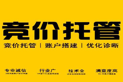 探究SEM主管如何运用数据分析提升广告效果